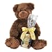 Ghirardelli Chocolate Plush Ty Bear with Assorted Squares Chocolates, 12 pcs.