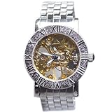 Montres Collection gXRNV 芪 ՗ʃXPg 2513STR-GR/SV