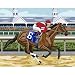 Craft House Paint by Numbers Day at the Races - 24003