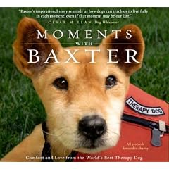 Moments with Baxter