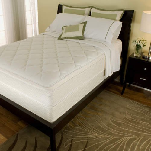 Serta Carswell Plush Eurotop Mattress Set – Queen