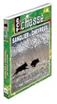 Sanglier et chevreuil aux chiens cour...