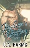 Jackson's Destiny (Sawyer Brothers Book 2)