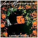 A Sense Of Wonder