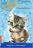 Les chatons magiques, Tome 4 : Chamailleries