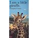 I Am a Little Giraffe: Large (Barron's Little Animal)