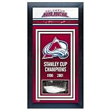 Colorado Avalanche Stanley Cup Champions Framed Wall Art