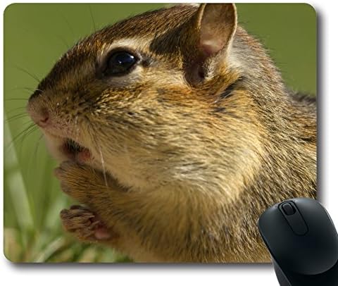 HOHOLALAY Chipmunk with A Full Cheek Poch Rectangle Gaming Mouse Pad,Mousepad,Mouse Mat