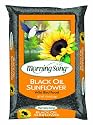 Morning Song Black Oil Sunflower, 25-Pound
