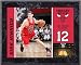 Kirk Heinrich Chicago Bulls 8x10 Color Plaque