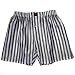 Grey and White 100% Madras Silk Boxers by Royal Silk - XL