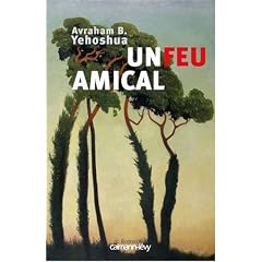 Un feu amical