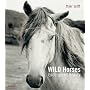 Wild Horses: Endangered Beauty