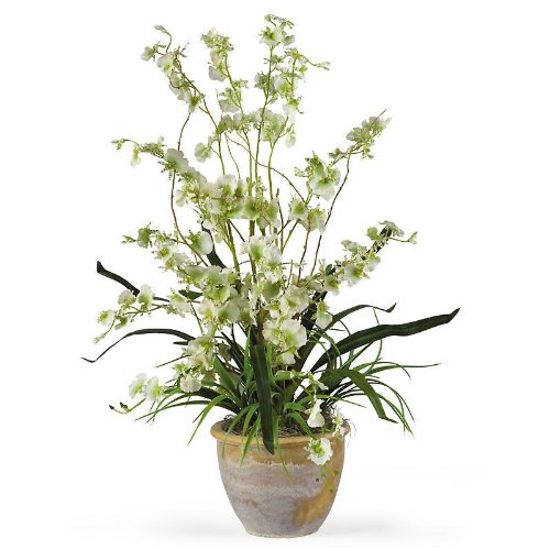 Dancing Lady Silk Orchid Plant – Green