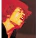 Electric Ladyland (2 Vinyl)