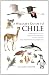 A Wildlife Guide to Chile: Continental Chile, Chilean Antarctica, Easter Island, Juan Fernández Archipelago