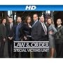 Law & Order: Special Victims Unit Season 10 [HD]