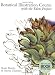 Botanical Illustration Course with the Eden Project