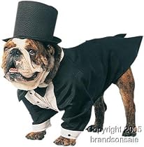 Pet Tuxedo Dog Halloween Costume For Small Dogs