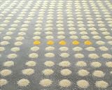 Revue Actes Sud  / Wolfgang Laib : Without place - without time - without body