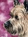 "Cairn Terrier" Dog Art Print Signed by Artist DJ Rogers