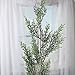 Factory Direct Craft 35 Inch Sparkling Artificial Cedar Embellishing Spray for Home and Holiday Decorating and Arranging