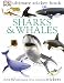 Sharks and Whales Ultimate Sticker Book (Ultimate Stickers)