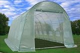 Large Heavy Duty Green House Walk in Greenhouse Hothouse 20' X 10'