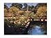 Boboli Gardens - Florence by Philip Craig 40 x 30  Canvas Art