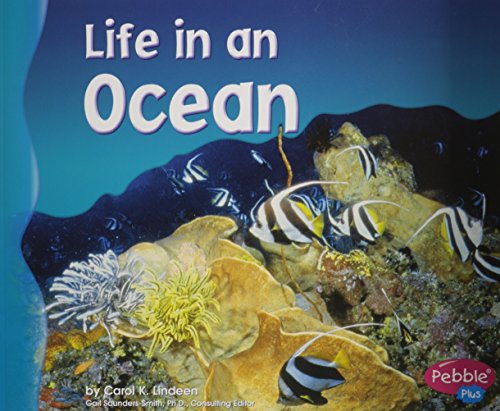 Life in an Ocean (Living in a Biome)