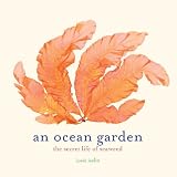 An ocean garden : the secret life of seaweed