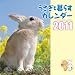 : うさぎと暮らすカレンダー2011