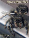 Macro Madness for April 2012