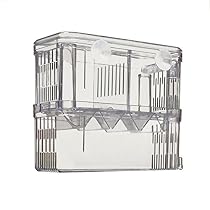 Petzilla PBI-2 Aquarium Fish Breeder Box for Hatchery, 6