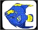 Mouse Pad with angelfish, angel, tropical, fish