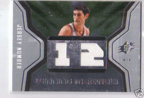 2007 SPx Authentic Kirk Hinrich Dual Game-Worn Jersey Card