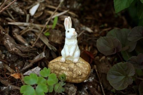 Miniature Dollhouse FAIRY GARDEN /Rabbit Standing On Stone