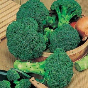 BULK - 1oz. (Approx. 8,000) - Green Sprouting Broccoli Seeds - Non-Gmo - Combined Shipping