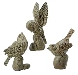Pack of 12 Detailed Song Bird Outdoor Garden Statues