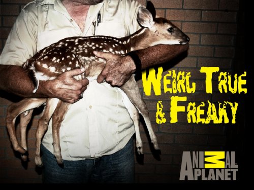 Primates Gone Wild Discount. 51uuuAielqL Primates Gone Wild Discount.