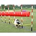 Dog Agility Weave Pole Guides for 6 Pole Set