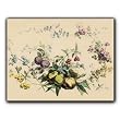 Fruit and Floral Medley - Gift Enclosure Cards (set of 12)