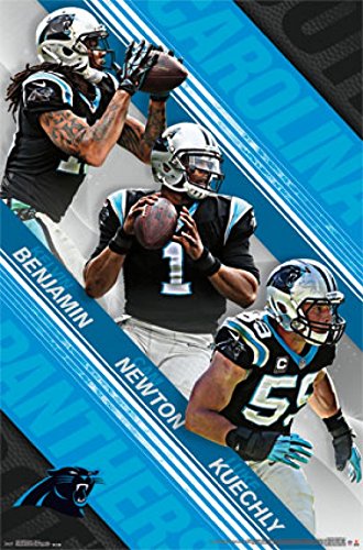 Carolina Panthers - Team 2015 Poster Print (24 x 36)