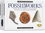 Skullduggery Eyewitness Kit Fossilworks Casting Kit