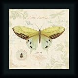 Cote Jardin II by Daphne Brissonnet Butterfly French Botanical Art Print Framed