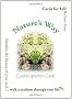 Nature's Way Contemplation Cards