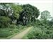 Photographic Prints of JLM-11344 Chelsea Physic Garden, UK from Ardea Wildlife Pets