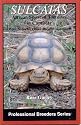 Sulcatas: African Spurred Tortoises in Captivity (Professional Breeders Series)