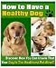 How To Have A Healthy Dog: Discover How You Can Insure That Your Dog Is The Healthiest Pet Alive!