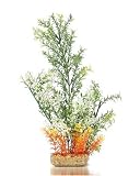 K&A Imports Stonewart with Flowering Cabomba, Extra Large